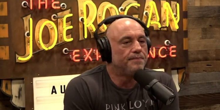 Trump gets last-minute round of big-name endorsements including Joe Rogan, son of Roberto Clemente