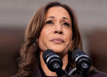 Dem Party blame game: Accusations fly as to who is responsible for Harris’ massive loss to Trump