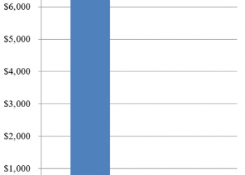 Government Reform: DOGE + E