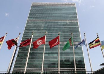 Former high-level United Nations officials to launch ‘DOGE-UN’ to highlight agency inefficiencies