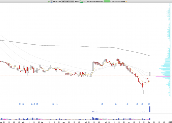 Long ENLV: Enlivex Announces Positive Allocetra™ Trial Results, Triggering Bullish Market Reaction