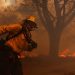 How many billions will California fires cost the US economy?