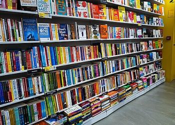 Public Schooling, Trump, and the “Book Ban Hoax”