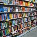 Public Schooling, Trump, and the “Book Ban Hoax”