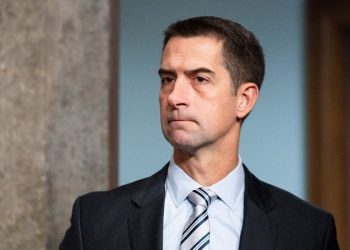 Senate Republicans launch effort to ban Chinese nationals from buying land in US