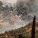 Should California Waive Environmental Laws?