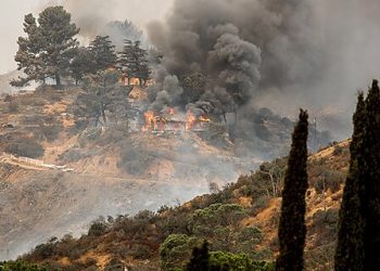 California Wildfires: Policy and Incentives
