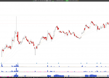 Long CHWY: Chewy Inc. Surges on Wolfe Research Upgrade, Eyes $40 Target