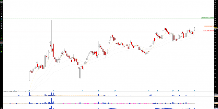 Long CHWY: Chewy Inc. Surges on Wolfe Research Upgrade, Eyes $40 Target