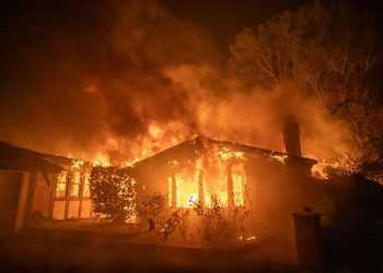 California Insurance Market: Another Victim of the War on Prices