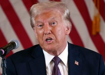 German ambassador warns Trump will ‘undermine’ democratic principles with ‘maximum disruption’ agenda: report