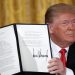 ‘Blatantly unconstitutional’: US judge temporarily blocks Trump’s ban on birthright citizenship