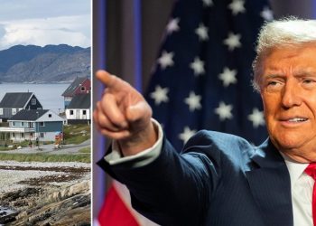 ‘Make Greenland Great Again’: Trump’s House GOP allies unveil bill to authorize country’s purchase