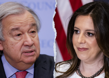 Trump’s UN ambassador pick Elise Stefanik could save taxpayers millions if taps Musk-Ramaswamy ‘DOGE’