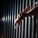 Illegal Immigrants in Georgia Have a Low Incarceration Rate