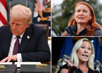 Democrats join DOGE subcommittee, including member seeking ‘good government’