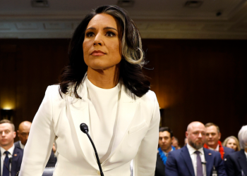 Top Senate Intelligence Dem grills Gabbard if Edward Snowden is ‘brave’: ‘Very troubling’