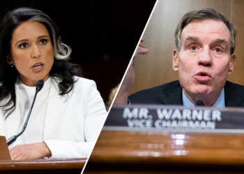 ‘Refuse to be their puppet’: Top 5 moments from Tulsi Gabbard’s confirmation hearing