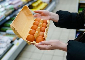 The Trump Administration’s Eggstremely Interesting Fix for High Prices