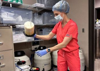 Pro-life leaders urge Trump to reverse his IVF stand, say the technology is ‘not pro-life’