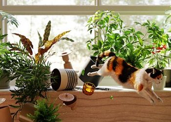 Moving Fast, Breaking Things, and the Oath of Office