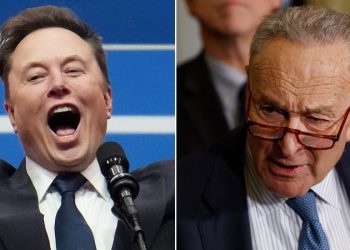 Elon Musk dunks on Sen Chuck Schumer, declaring ‘Hysterical reactions’ demonstrate DOGE’s importance