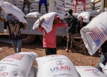 Analysts back Trump’s USAID cuts in Africa, say increased trade will better benefit continent’s poor