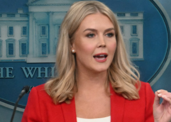 White House confirms who was appointed as acting administrator of DOGE