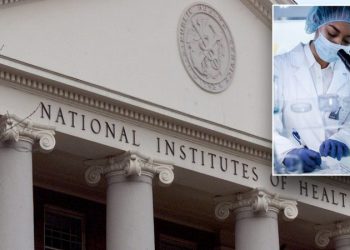 Judge blocks Trump order limiting ‘indirect’ NIH research costs after public outcry