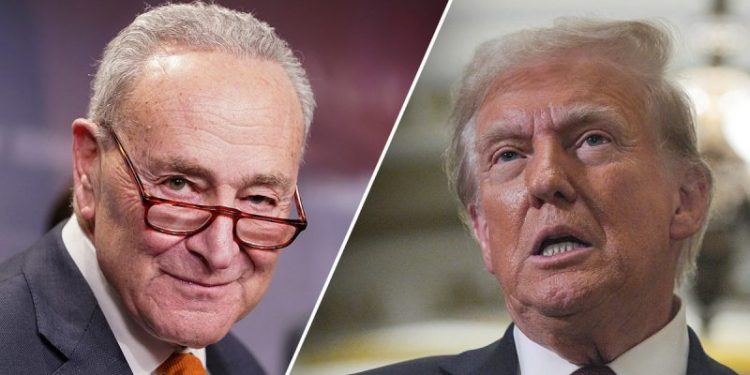 ‘Making America expensive again’: Democrats find a tax they don’t like in Trump tariffs