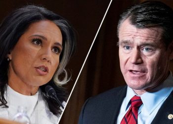 Tulsi Gabbard scores key committee Republican’s support ahead of pivotal vote