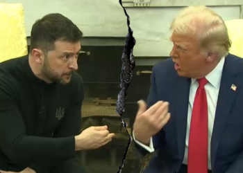 Conservatives rally around Trump after meeting with Zelenskyy goes off the rails: ‘Absolute dumba–‘