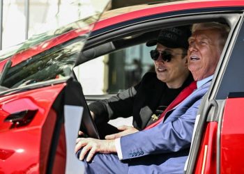 Elon Musk’s politics are hurting Tesla, 85% say in investor survey