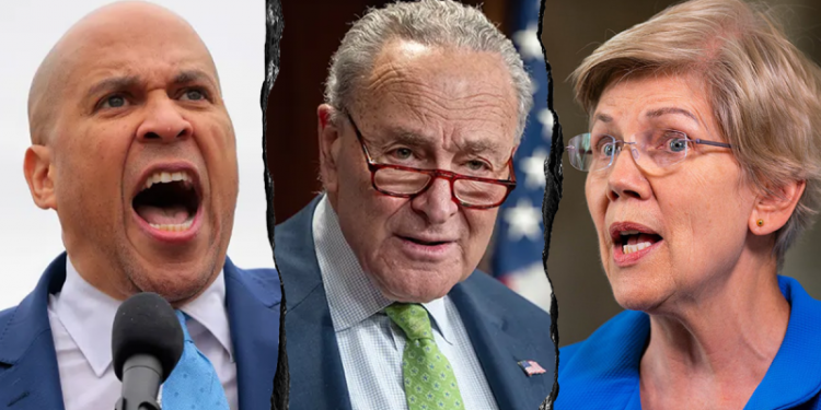 Conservatives flip script on Senate Dems pushing identical talking points against Trump: ‘Like robots’