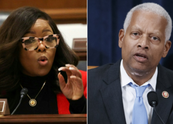 House Dems suggest Trump is trying to bring back slavery in racially charged livestream: ‘Back to the fields’