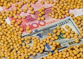 Trump’s Trade Wars Harm Farmers and Taxpayers