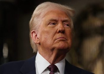 Trump warns of jail time for Tesla vandals, anyone funding the attacks: ‘WE ARE LOOKING FOR YOU!!!’