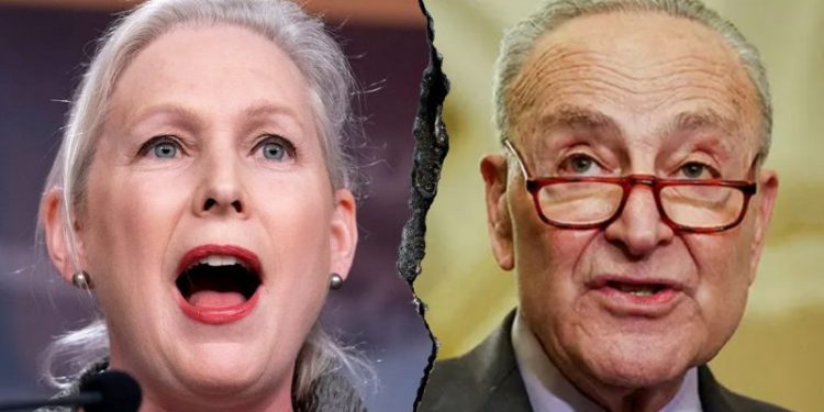 Dem heard screaming at colleagues despite Schumer’s unity claim as shutdown looms