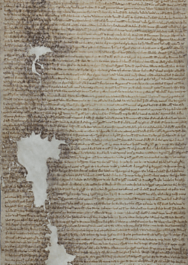 The Magna Carta at 800
