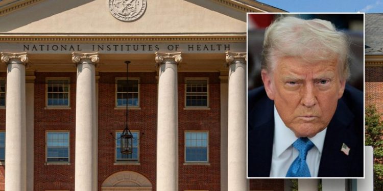 HHS slashes over $350M in grant funding for gender ideology, DEI research projects