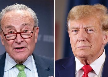 Chuck Schumer will vote to keep government open: ‘For Donald Trump, a shutdown would be a gift’
