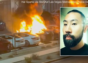 DAVID MARCUS: Hey Dems, knock it off with the anti-Tesla stochastic terrorism