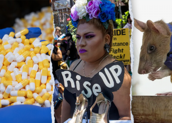 Trump admin cuts additional $1M in federal funding for ‘transgender animal’ experiments