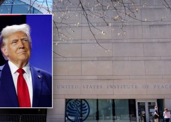 Judge denies embattled government-funded agency’s restraining order request against DOGE