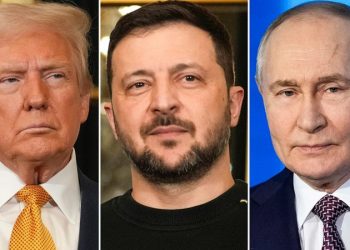 Ukraine’s Zelenskyy replaces top military official ahead of Trump-Putin call