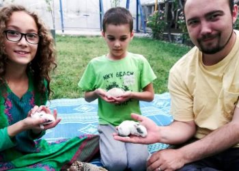 At least 26 American hostages released since Trump took office