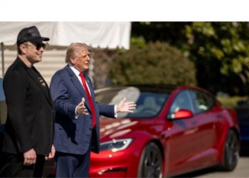 Musk calls Trump’s trade adviser Navarro ‘truly a moron’ and ‘dumber than a sack of bricks’ over tariff row