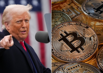 New Trump-linked consulting firm launches in DC to navigate crypto, AI : ‘Trust, connected voice’
