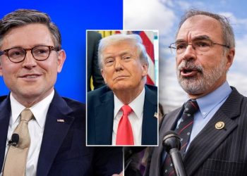 EXCLUSIVE: House Freedom Caucus chair urges Johnson to change course on Senate version of Trump budget bill