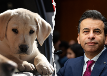 PETA, animal rights groups praise Trump admin for phasing out ‘cruel tests on dogs’ and other animals